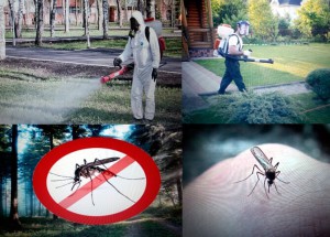 Обработка от комаров в Самаре и Тольятти